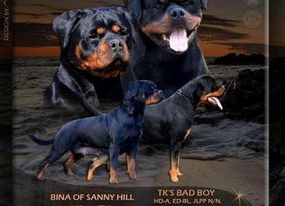 rotfrajeri01a1632254975