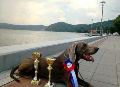 vajmarskipticar011632483239