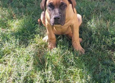 viberimage102109082313564631631887376