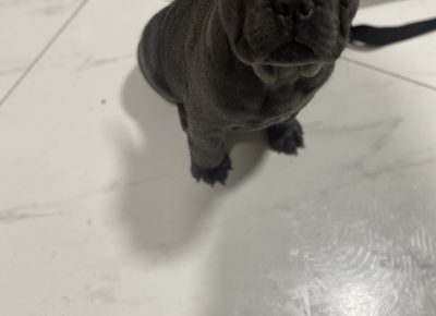 viberimage102109192002044981632155014