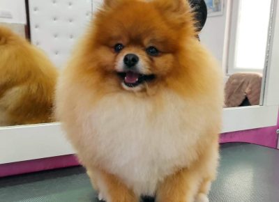 viberimage202104281321427081631448488