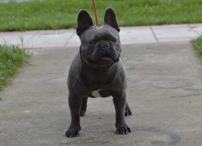 viberimage202104281322559351631435686