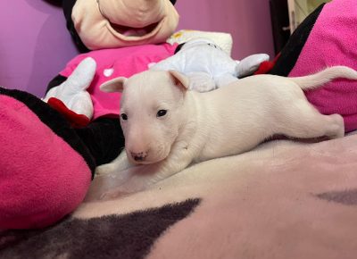 viberimage202107211845494521631990078