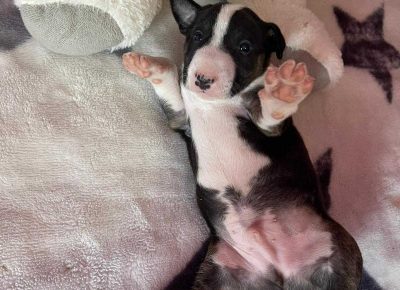 viberimage202107211845510561631990079