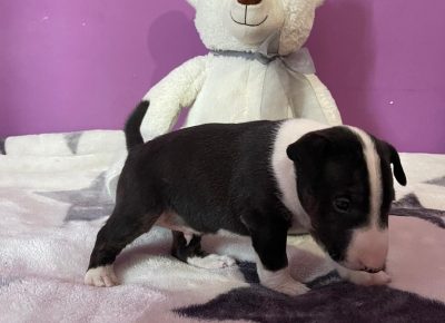 viberimage202107211845514501631990077