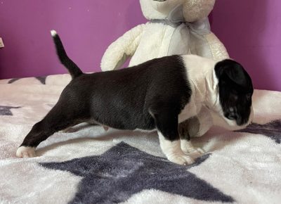 viberimage202107211845516921631990078