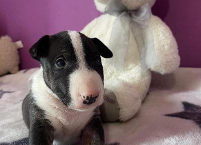 viberimage202107211845518921631990078