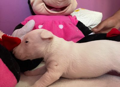 viberimage202107211845520221632911485