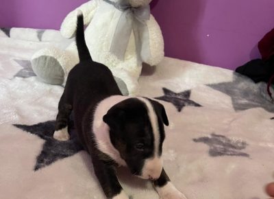 viberimage202107211845526751632911484