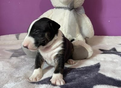 viberimage202107211845540011632911486