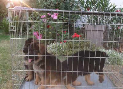 viberimage202108201745124311631572866