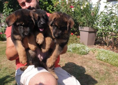 viberimage202108201746389811631107805