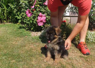 viberimage202108201747327811631572865