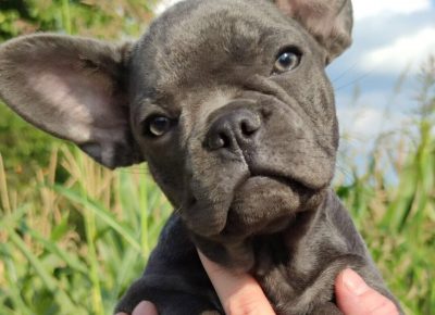 viberimage202108231302099321631975759