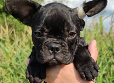 viberimage202108231302480741631975758