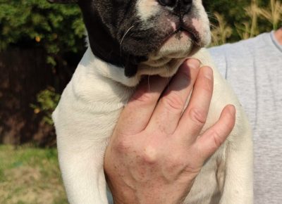 viberimage202108231302515751632666944