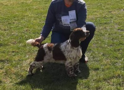 viberimage202108241637141381630935618