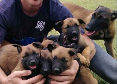 viberimage202108311839108441630496173