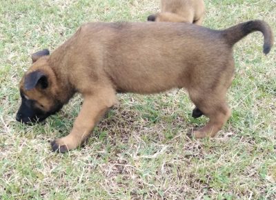 viberimage202108311839110511630496174