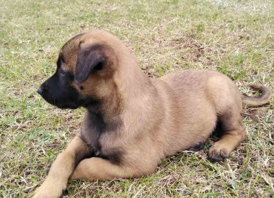 viberimage202108311839112171631560745