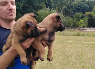 viberimage202108311839115361630496175