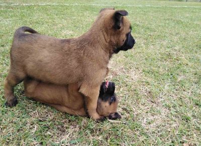 viberimage202108311839118181630496174