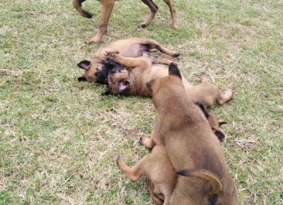 viberimage202108311839119721630496175