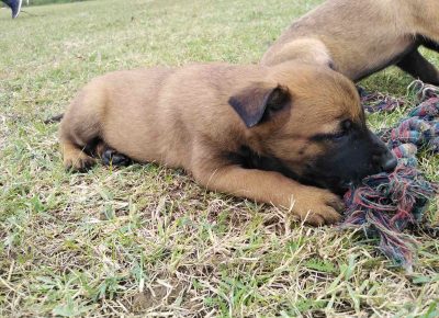 viberimage202108311839123991630496175