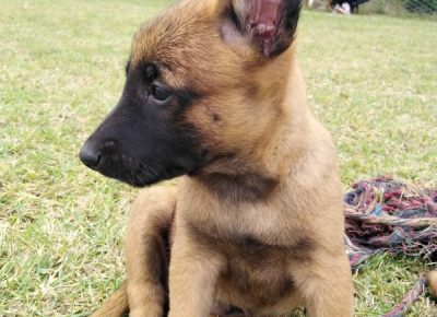 viberimage202108311839125761630496175