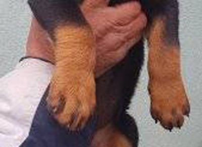 viberimage202109012042423151630582178