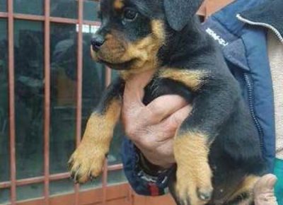 viberimage202109012042427521630582177