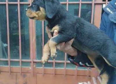 viberimage202109012042431081630582178