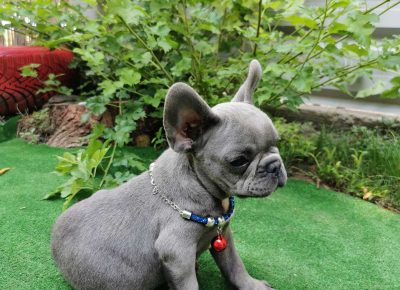 viberimage202109032307482111630775298