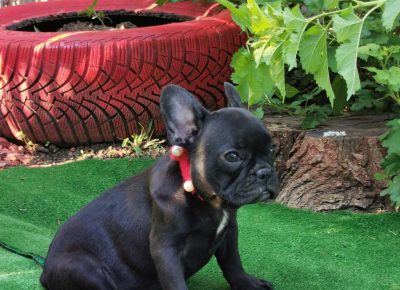 viberimage202109032308552131630775297