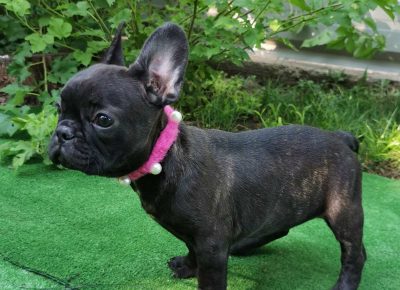 viberimage202109032308591871630775298