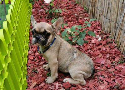 viberimage202109032309480251630775298