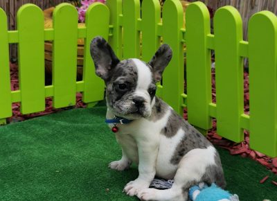 viberimage202109032310130731630775299