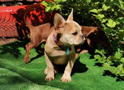 viberimage202109032325010051630775298