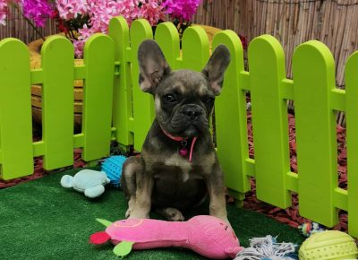 viberimage202109032325033741630775299