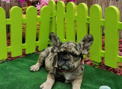 viberimage202109032325229971630775299