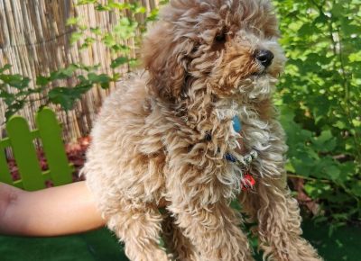 viberimage202109032328054981630778638