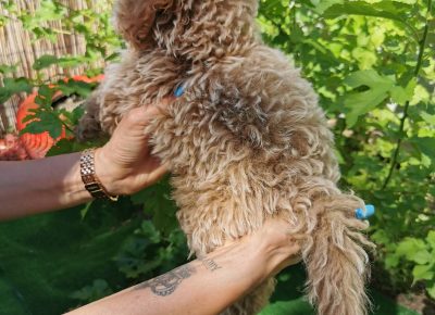 viberimage202109032328058731630778640