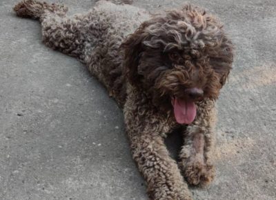 viberimage202109061811560811631032303