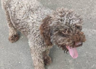 viberimage202109061811562151631032303