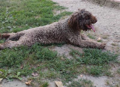 viberimage202109061811566611631032303