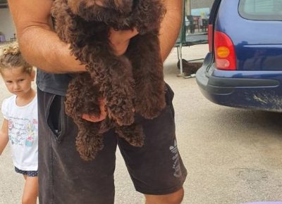 viberimage202109071102097841631089176