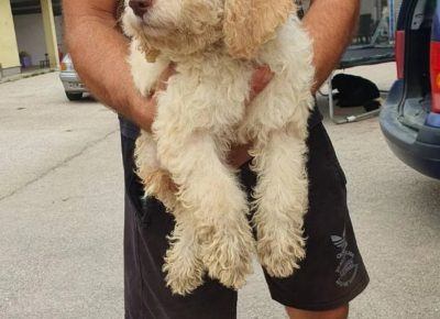 viberimage202109071102308921631089177