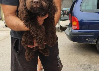 viberimage202109071102310651631089178