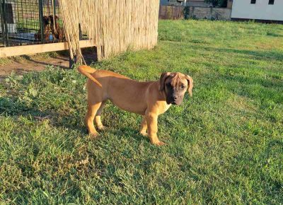 viberimage202109082300409331631887376