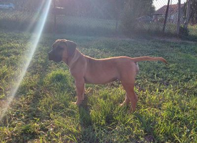 viberimage202109082300419391631887375